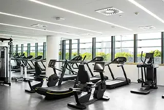 Gymnasium